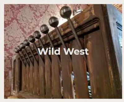Wild West poster1